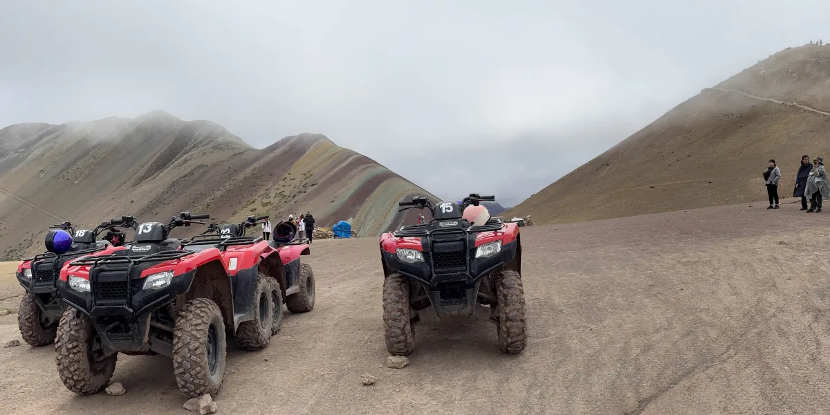 Imagen 5 de undefined