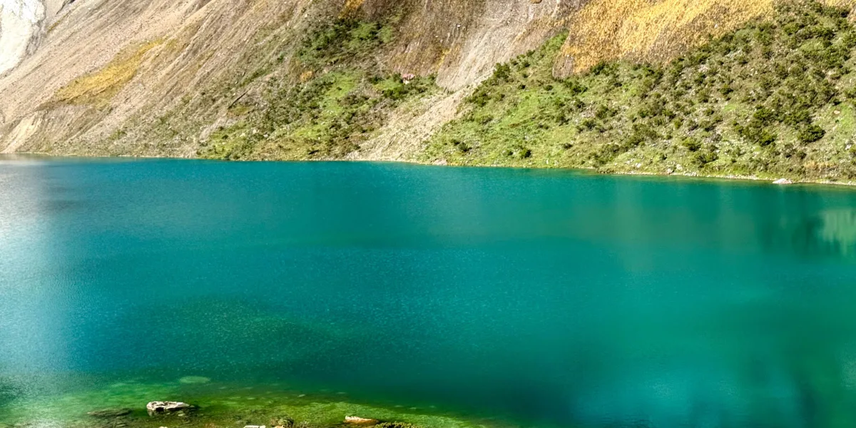 Imagen 2 de undefined