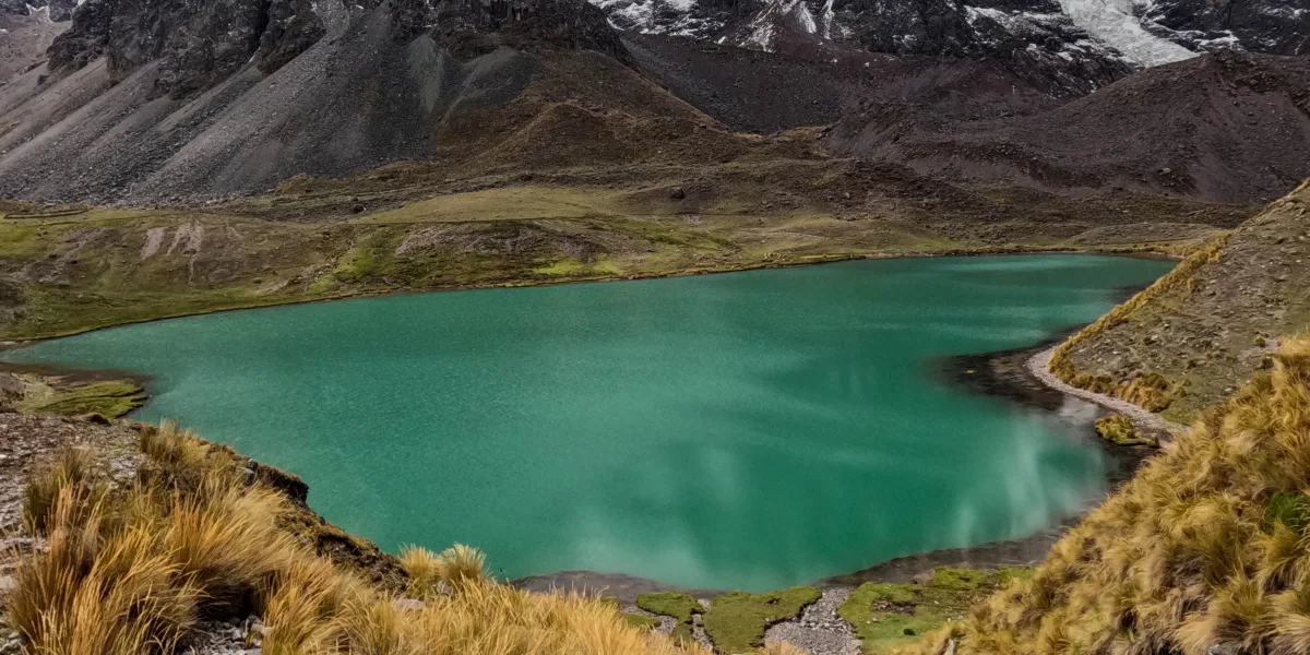 Imagen 7 de undefined