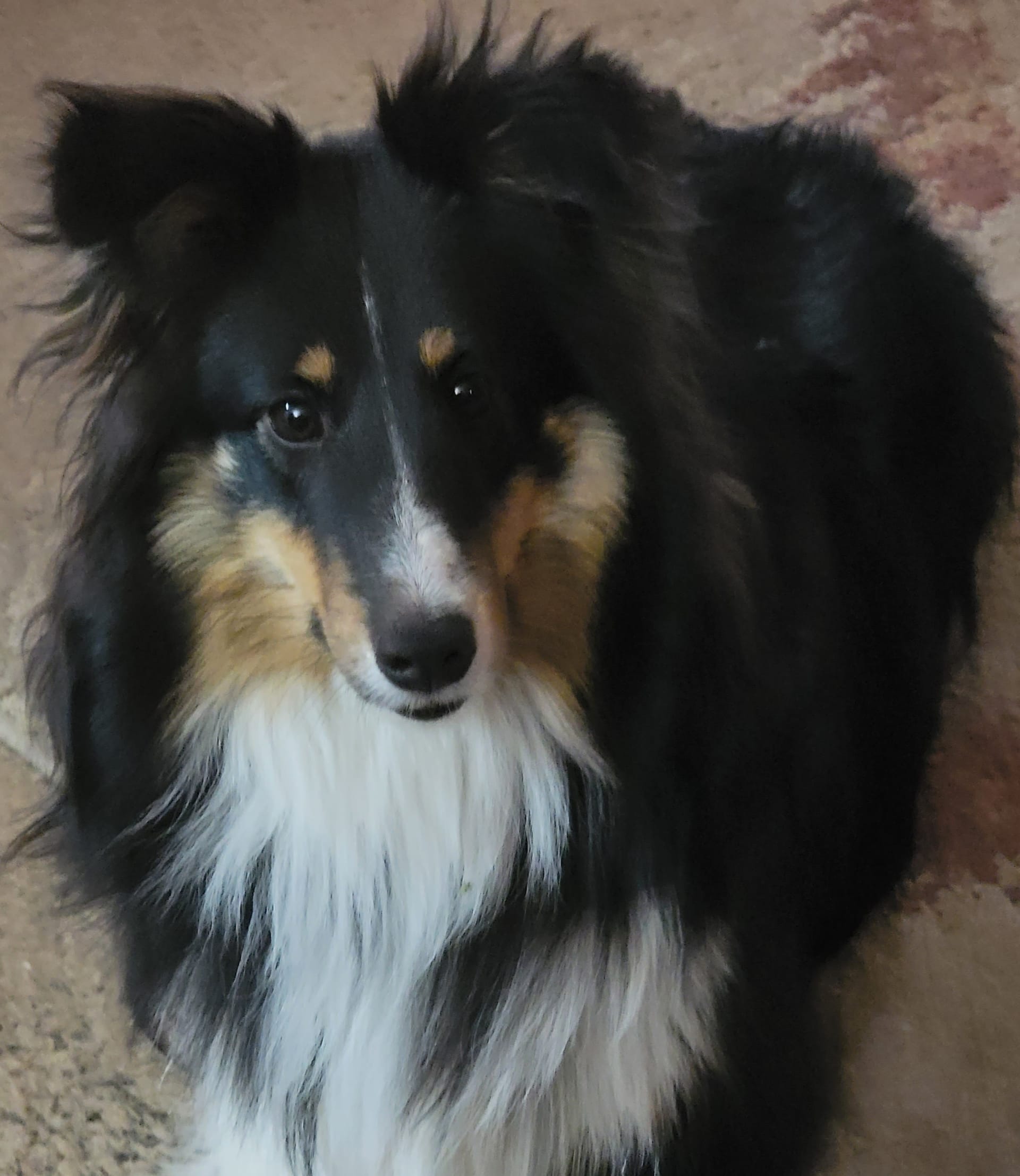 Fiona