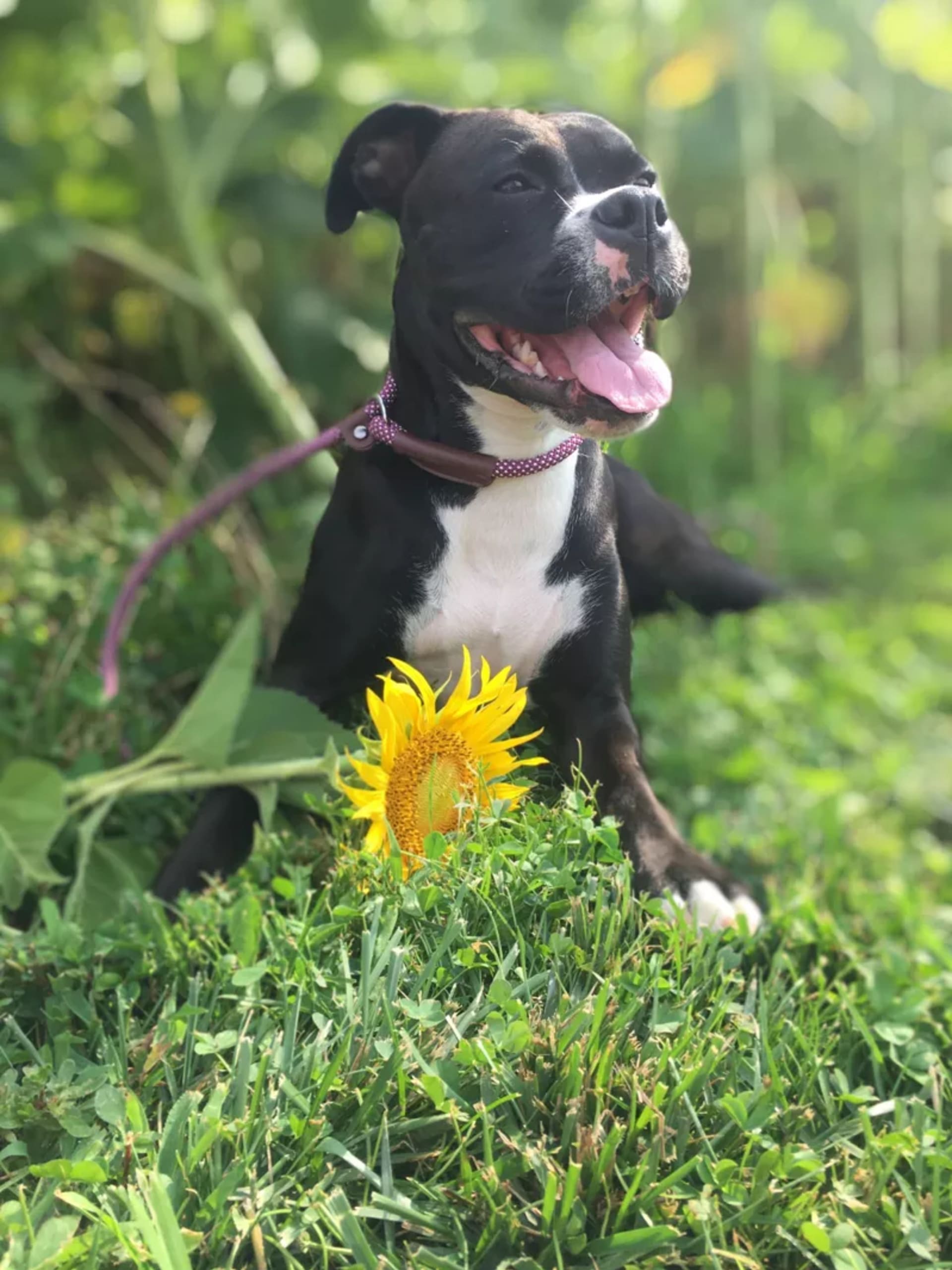 Lucy