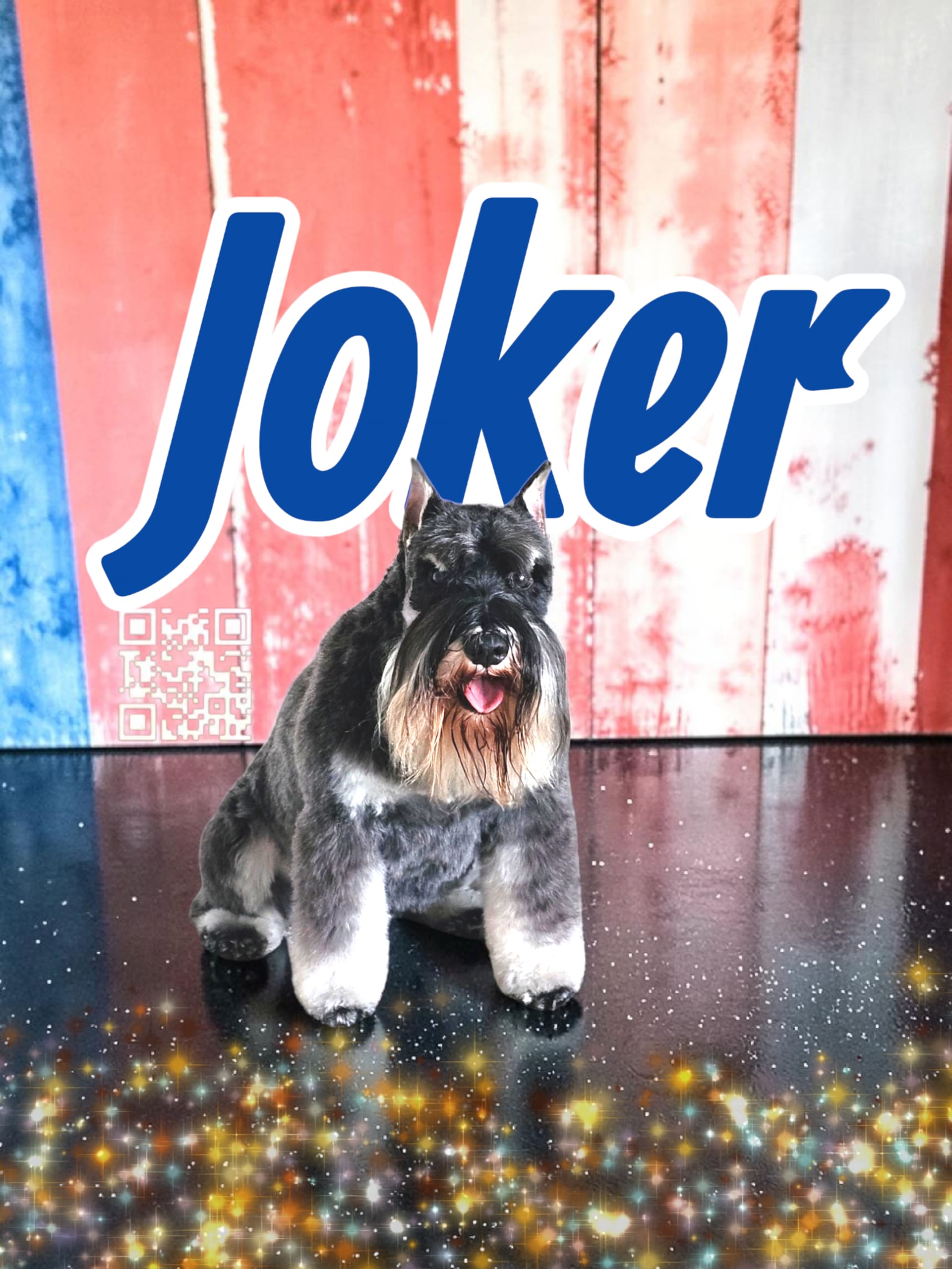 Joker