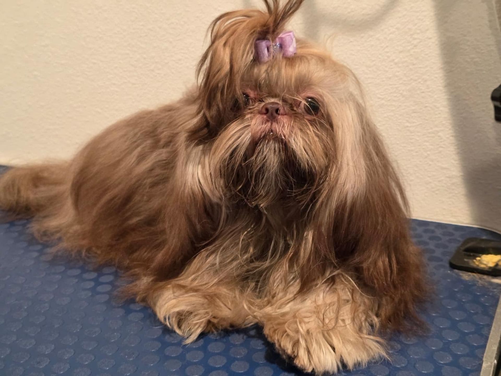 Lucy