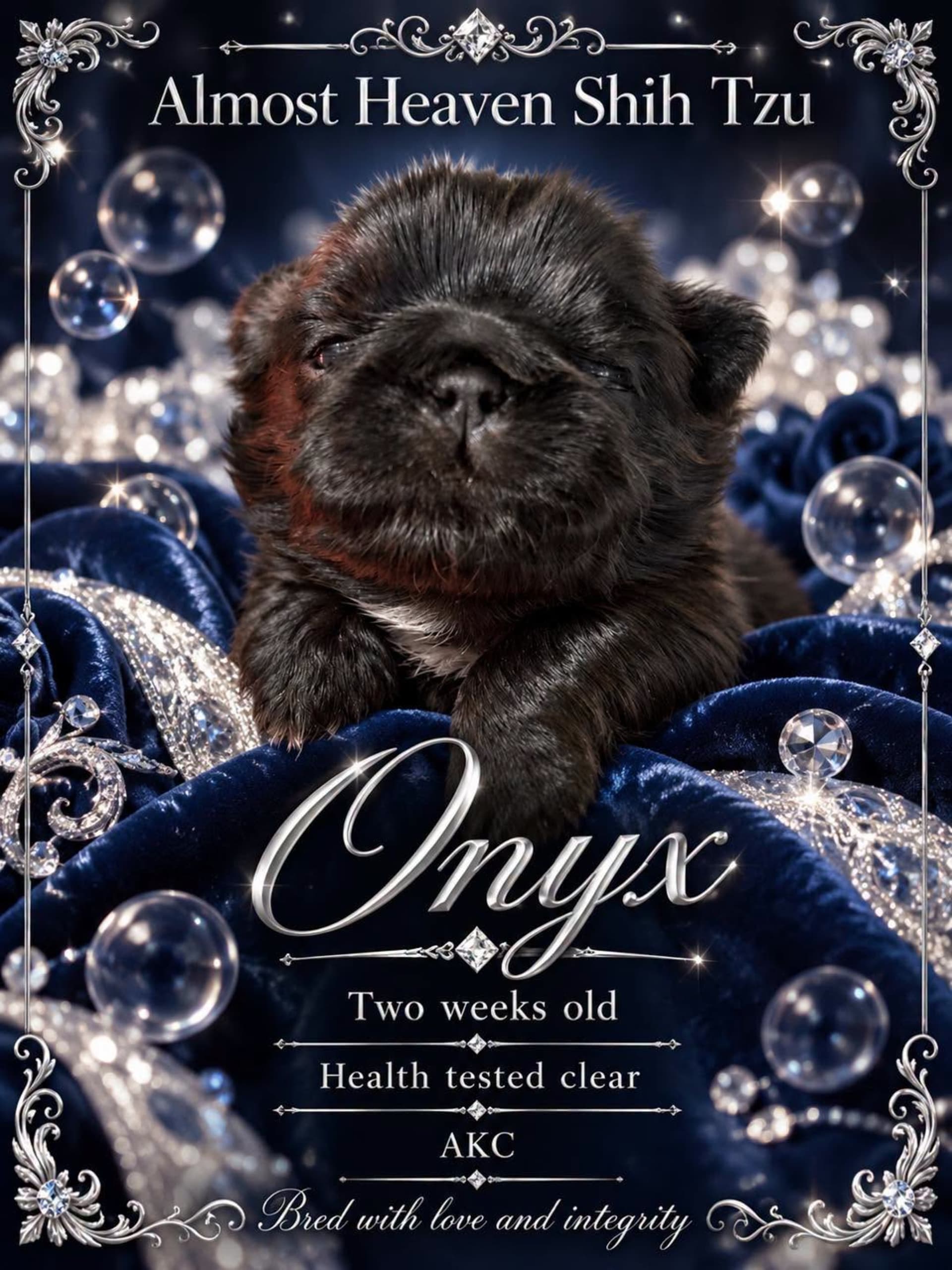 Onyx