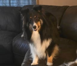 Fiona photo 2