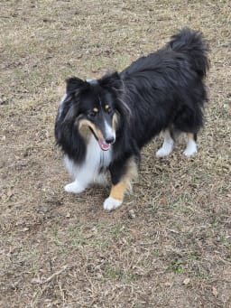 Fiona photo 3