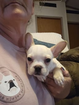 Macy photo 2