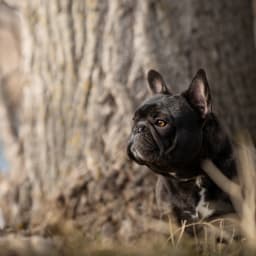 Fiona photo 2