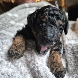 Girl2 photo 2