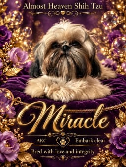 Miracle photo 2