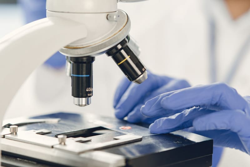 Decades of Remission: Autologous Stem Cell Transplants Offer Enduring Freedom from Severe Autoimmune Disease