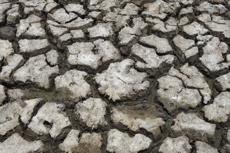 Europe's Scorching Summer: Record Temperatures, Energy Crises, and Mounting Health Risks Signal Urgent Climate Reality