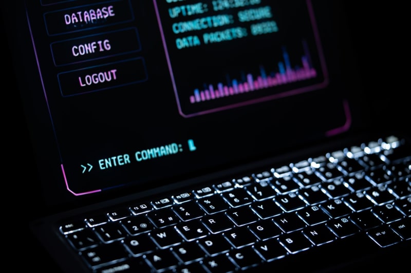 Massive Data Breach Exposes Personal Information of 3 Million Texans Through State Parks System