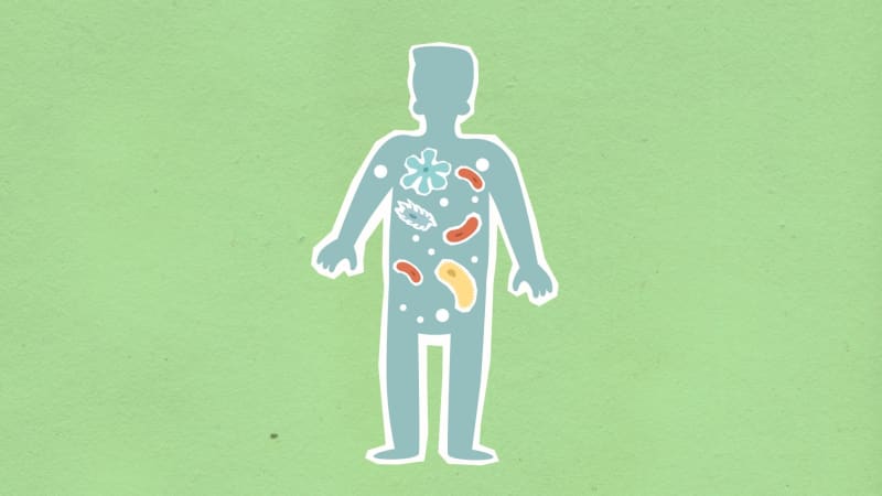 Revolutionary Drug Candidate Targets Gut Health to Combat Severe Fatty Liver Disease