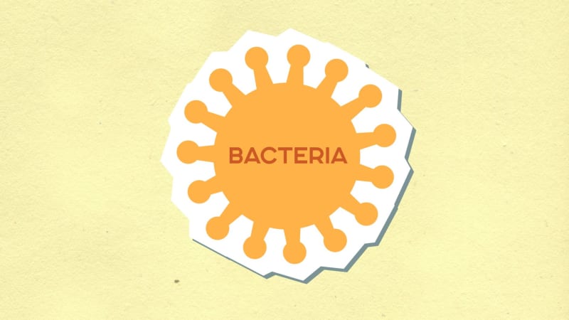 Groundbreaking Experimental Drug Repairs Gut, Completely Reverses Severe Fatty Liver Disease