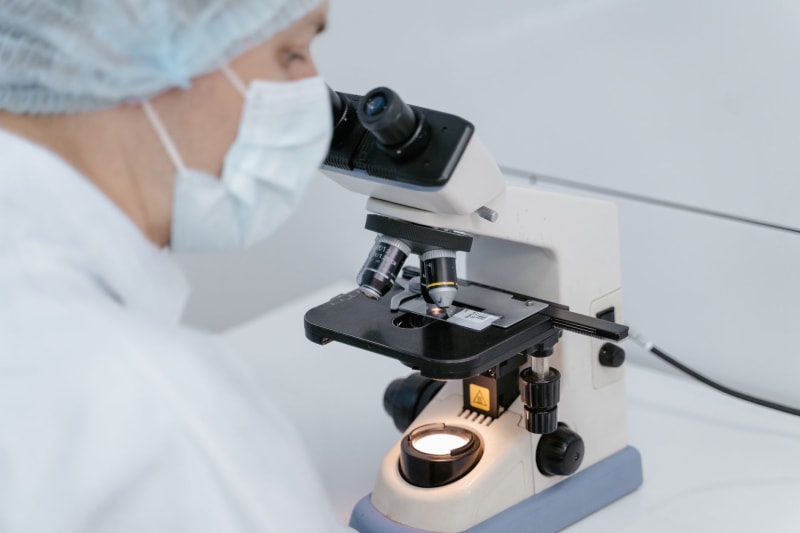 Global Capital Floods AI Biotech Sector as Machine Learning Slashes Drug Discovery Timelines by Seventy Percent