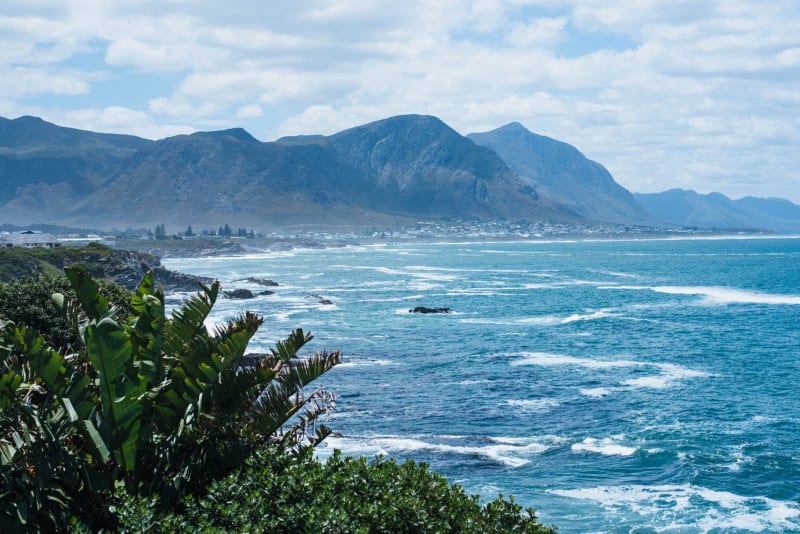 Massive 7.3-Magnitude Quake Strikes Off Mexican Coast, Unleashing Tsunami Alert Across Region