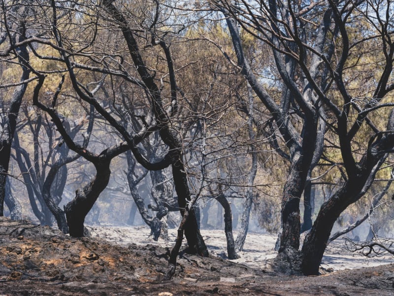 Mediterranean Inferno: Two Firefighters Perish in Greece as France Battles Unprecedented Wildfires