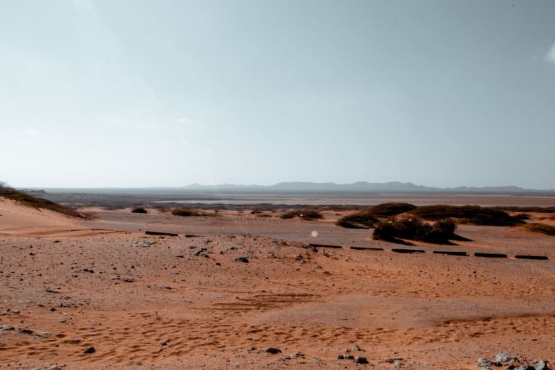 Abu Dhabi Secures Prestigious FEI Endurance World Championship 2026: A Global Equestrian Showcase