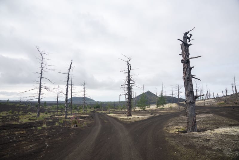 Catastrophic Blaze Engulfs Wildberries, Igniting a $3 Billion Crisis for Russian E-commerce