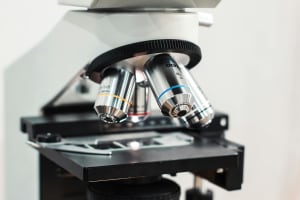Micron Stock's Explosive Surge: Is This the New Tech Giant?