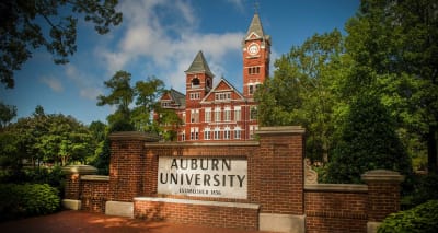 These are the top 5 most popular degrees at Auburn