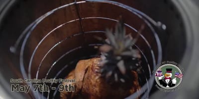 South Carolina's Feathered Friends: More Than Just a Festival, It's a Vital Economic Engine