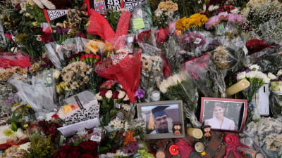 Beyond Random Violence: Unraveling the Symbolic Grievances of a University Shooter