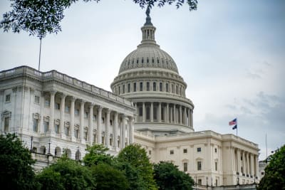 GOP Senators Unveil Ambitious Five-Year Strategy to Bolster Border Enforcement and Immigration Operations