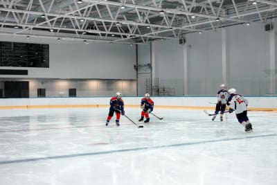 Minor League Hockey Teams Push Deeper Into Playoffs, Showcasing Developing Talent and Franchise Resilience