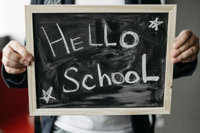 Dairy Debate Intensifies as Schools Reintroduce Full-Fat Milk Amidst Shifting Nutritional Guidance