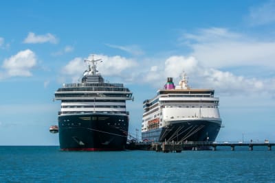 Voyage of Fear: Hantavirus Outbreak Forces Cruise Ship into Rotterdam Quarantine Zone