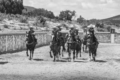 Beyond Yellowstone: Immersive IMAX Film Unveils Unvarnished Reality of Modern American Cowboy