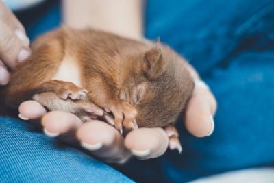 South Carolina's Safe Haven Law Sees Another Newborn Placed Under Protection
