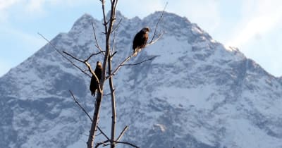 Alaska's Unique Challenges Demand Fresh Perspectives Beyond Party Lines