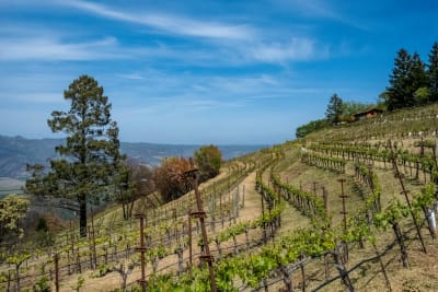 Napa Valley College Reconfigures Technical Training Amid Funding Shifts and Faculty Shortages