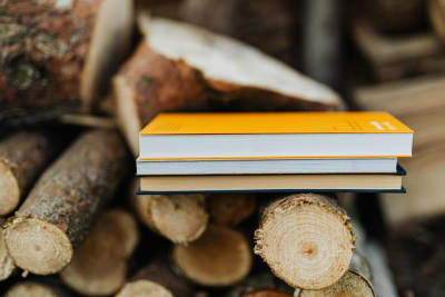 Children's Book Sparks National Uprising Against School Screen Time