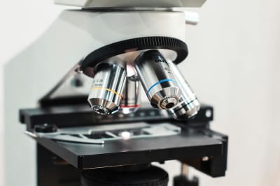 Micron Stock's Explosive Surge: Is This the New Tech Giant?