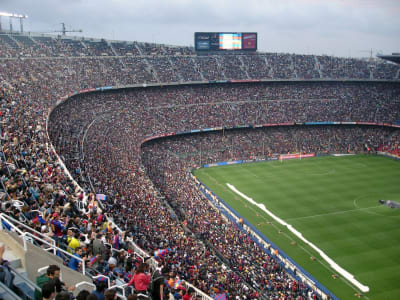 World Cup 2022: Fan Exodus Driven by Cost and Controversies