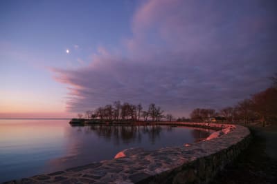 Couple Cultivates Cross-State Business from Connecticut's Natural Wonders