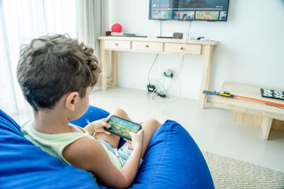 Louisiana Sex Offender Used Voice Changer to Target Child on Roblox Platform