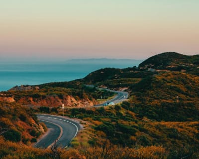 California's Population Plateau: A Looming Crisis of Decline