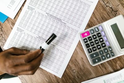 Economist's Audit Findings Reveal Deep Flaws in Medicaid Payment Oversight