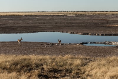 A First for Namibia - Onguma's new Onkolo Soundscapes