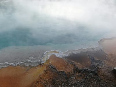 Awakeri Hot Springs closes, business in liquidation with $1 million IRD debt