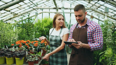 Unlock Growth: How Small Businesses Can Master AI for a Competitive Edge