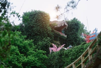 The fight to save Dunedin's dinosaur slide from extinction
