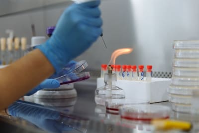 POP Biotechnologies Secures Up to $9.7 Million in CEPI Funding