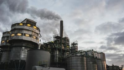 Net Zero Mandates Are Decimating Britain's Vital Chemical Industry