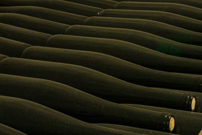 Tornatore's 'Brunello' Triumph: A Golden Globe Win Elevates Italian Wine and Documentary Filmmaking at Taormina
